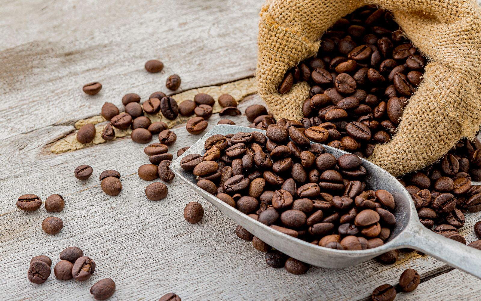 Coffee - Dark roasted coffee beans with scoop by Rattanapol via Shutterstock